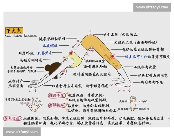 科学方法助你高效缓解身心疲劳提升精力活力